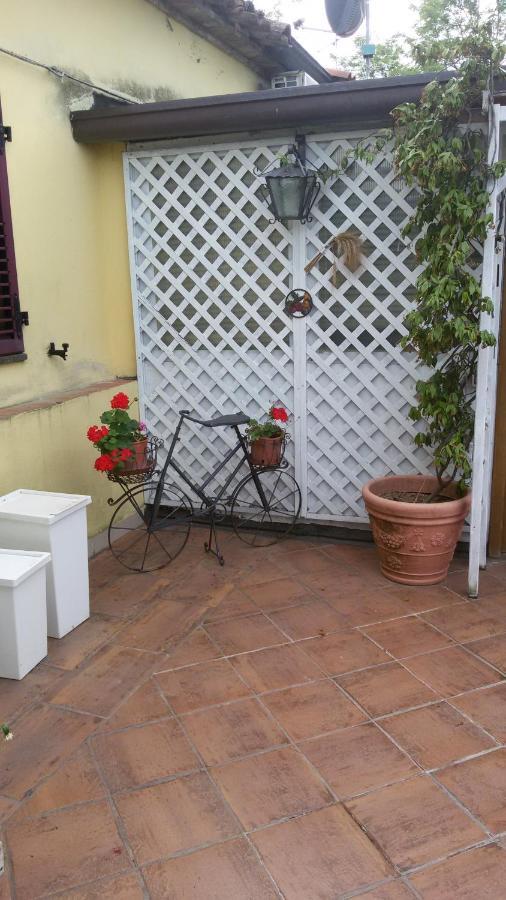 Ca Del Lago Misano Daire Misano Adriatico Dış mekan fotoğraf