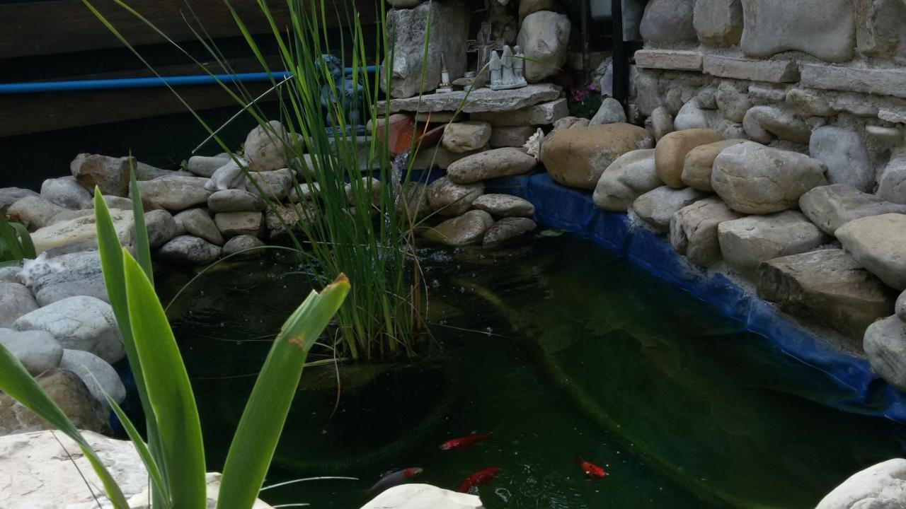 Ca Del Lago Misano Daire Misano Adriatico Dış mekan fotoğraf
