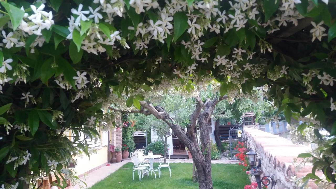 Ca Del Lago Misano Daire Misano Adriatico Dış mekan fotoğraf